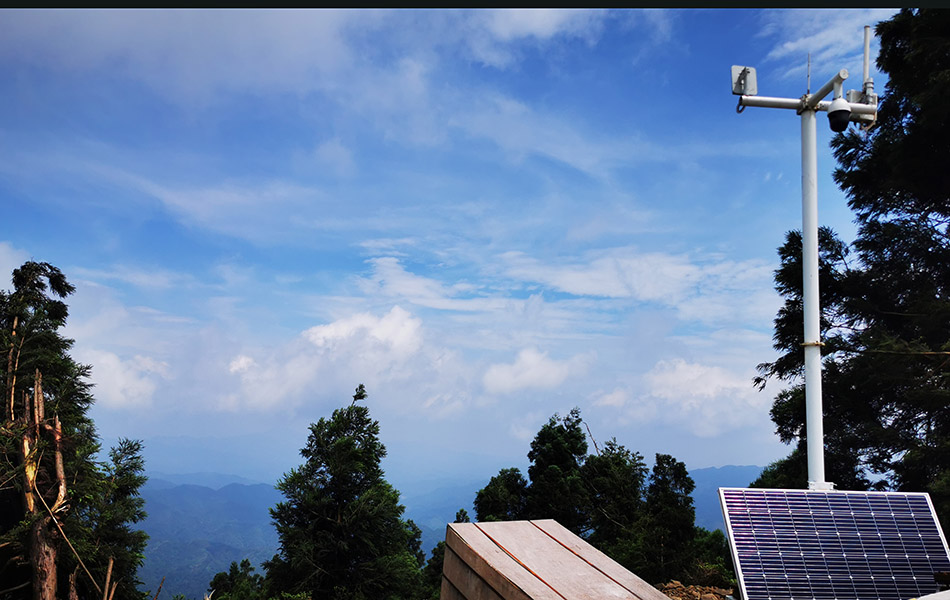 IMG_20210705_105304.jpg IMG_20210705_105304.jpg